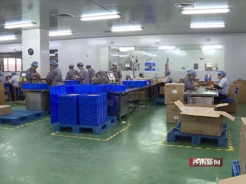 深入企业送服务，精准施策助发展——黄荣定开展“三服务”活动纪实